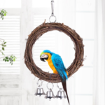 Parrot Wood Swing